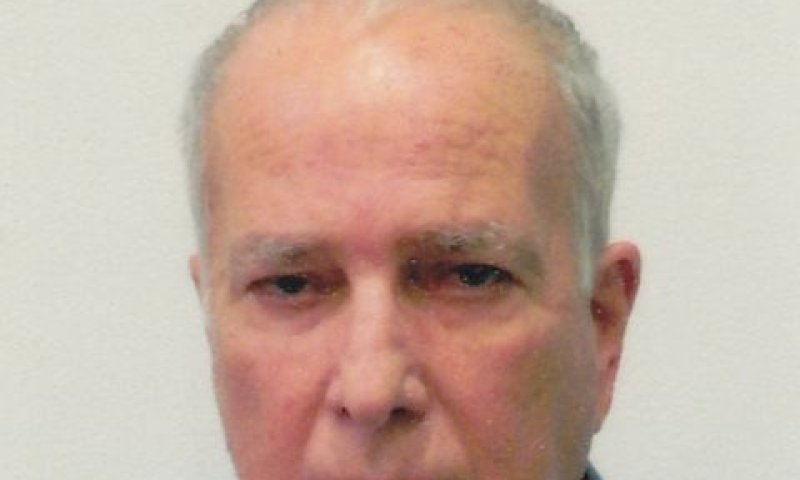 פלדמן. ערבות לחובות
