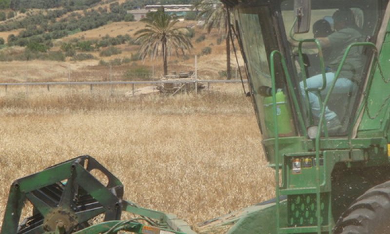 טרקטור מלווה בטנק. שדות נגב [צילום: נאור תקשורת]