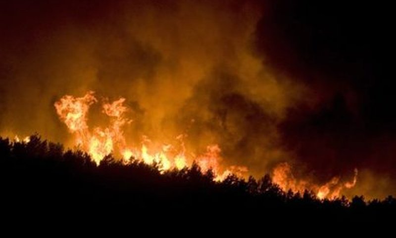 להקים ועדת חקירה ממלכתית [צילום: AP]