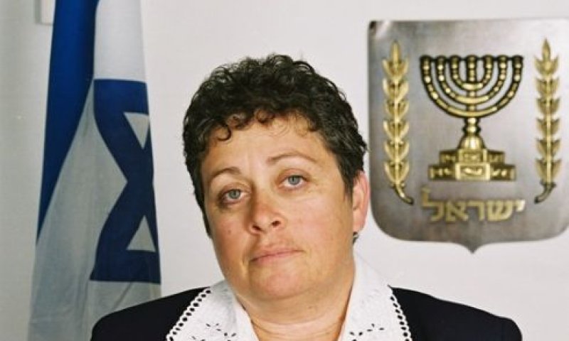 שרה מאירי. "אינה רשאית לעשות"