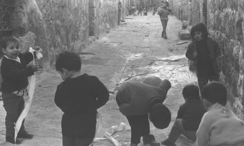 ללא מסגרת [צילום: משה מילנר/לע"מ]