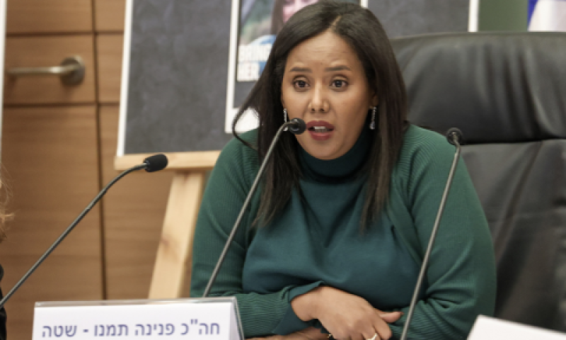 [צילום: דני שם טוב, דוברות הכנסת]