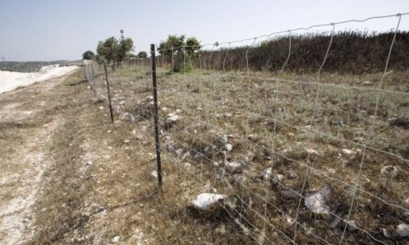 1.84 מיליון שקל למגרש בן 1.1 דונם בבנימינה [צילום אילוסטרציה]