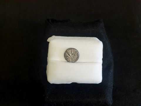 המטבע הנדיר, עליו שלוש כפות תמרים וסביבן הכיתוב "רבע השקל" [צילום: מירי בר, רשות העתיקות]