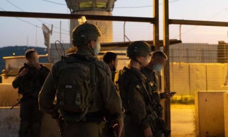 [צילום: דו"צ]