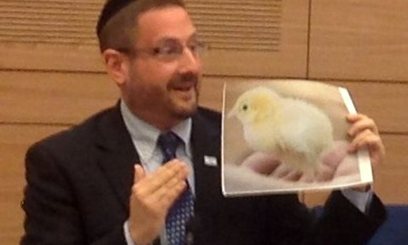ח"כ דב ליפמן מציג תמונה של אפרוח בדיון