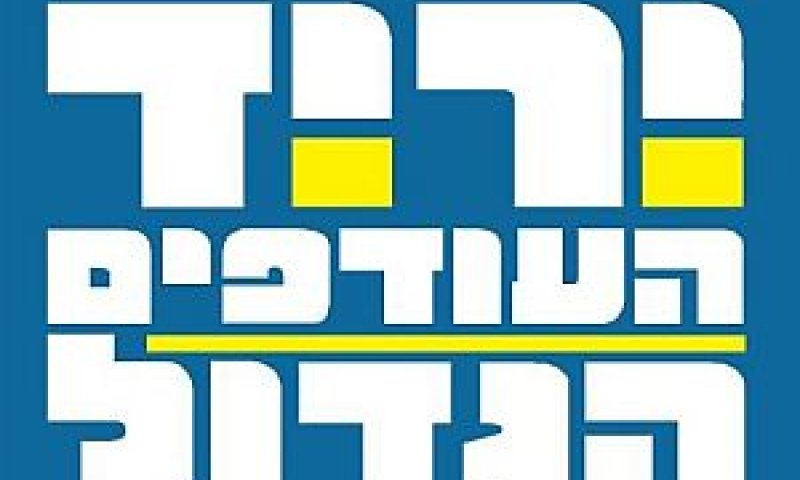 יריד העודפים הגדול