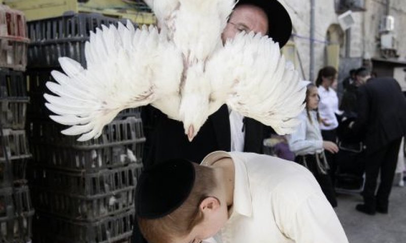 [צילום: פלאש 90]