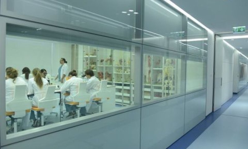 מתקבלים להתמחויות טובות בישראל. תוכנית IMS [צילום: יח"צ]