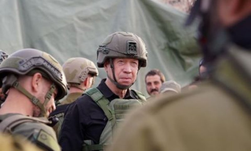 [צילום: אריאל חרמוני]