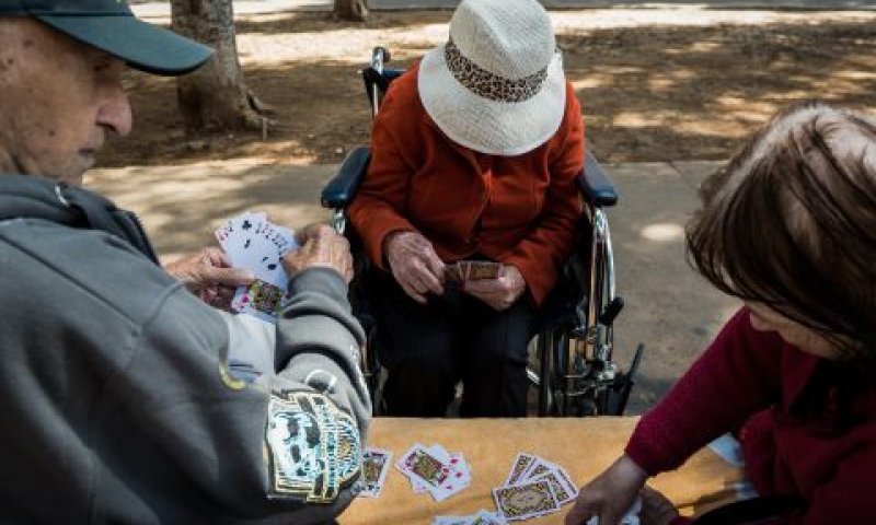 התופעה הגיעה לשיאה [צילום אילוסטרציה: דניאל שטרית, פלאש 90]
