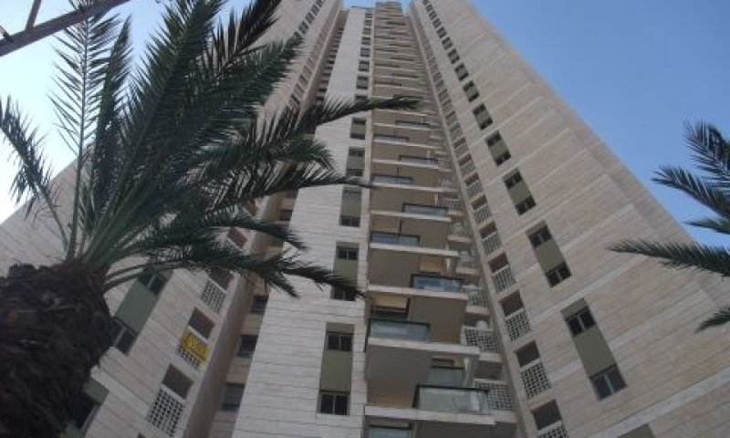 מגדלי התמרים. "רק ההתחלה"