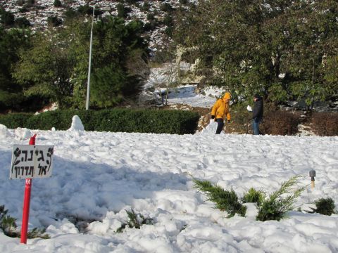 לפני ימים מספר היתה כאן גינה... [צילום: שמרית טסה]