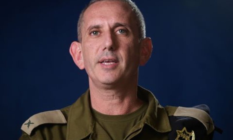 הגרי. בעצימות נמוכה [צילום: אבשלום ששוני/פלאש 90]