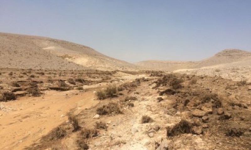 הנחל אחרי הזיהום [צילום: עודד נצר, המשרד להגנת הסביבה]