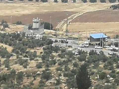 זירת הפיגוע ליד נגוהות [צילום: TPS]