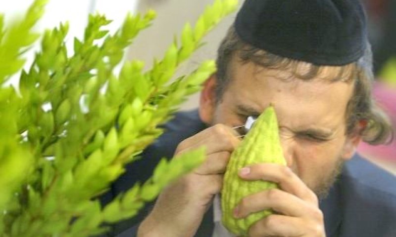 השוק המסורתי. בעין בוחנת [פלאש 90]