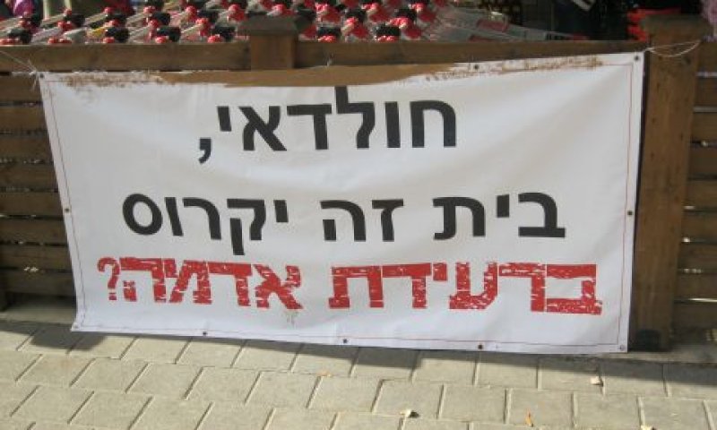 [צילום: דרור עמית]
