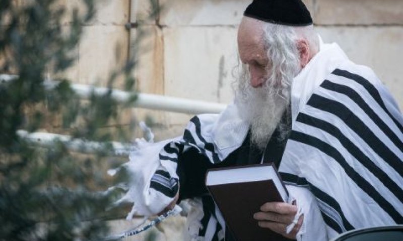 ברלנד. 54 מיליון שקל [צילום: יונתן זינדל, פלאש 90]