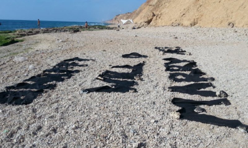 הצעות נישואים [צילום: ניר לוינסקי- המשרד להגנת הסביבה]