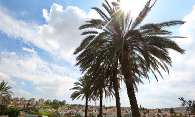 חשיבות הסביבה הנופית [צילום: יעקב לדרמן/פלאש 90]