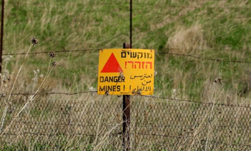 [צילום: משה שי, פלאש 90]