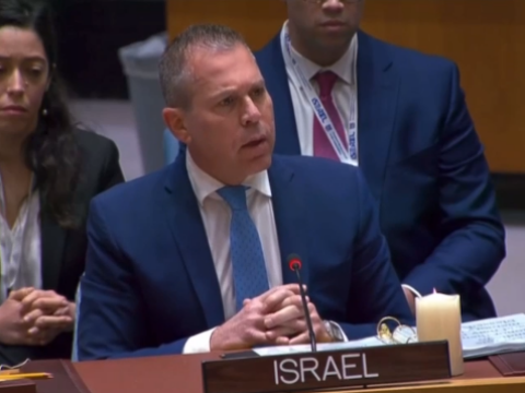 [צילום: משלחת ישראל לאו"ם]