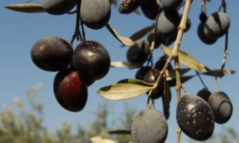 בניגוד לתקן [צילום: פלאש 90]