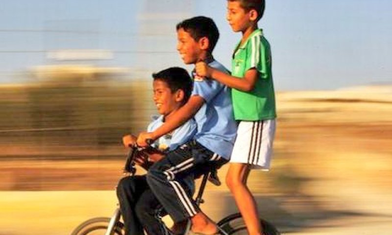 נתוני היפגעות קשים [צילום אילוסטרציה: AP]
