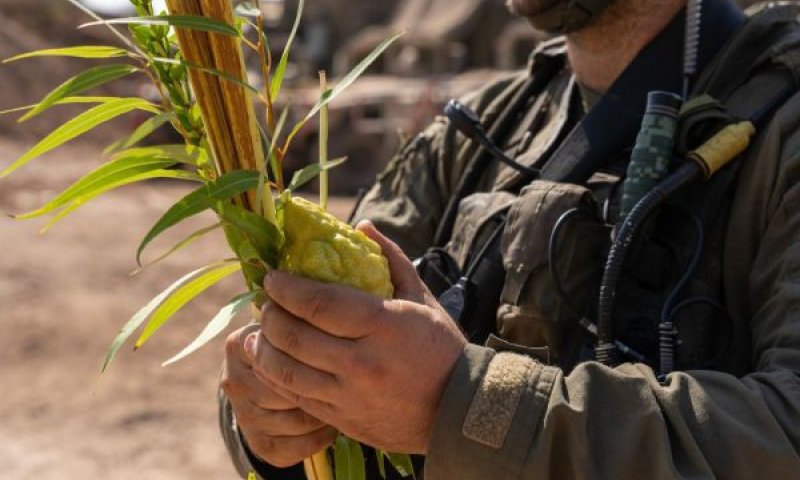ארבעת המינים, סוכות וחוברות תוכן [צילום: דובר צה''ל]