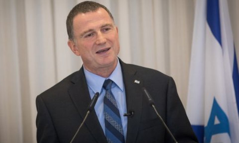 אדלשטיין. לא מבקרים תמימים [צילום: יונתן זינדל/פלאש 90]