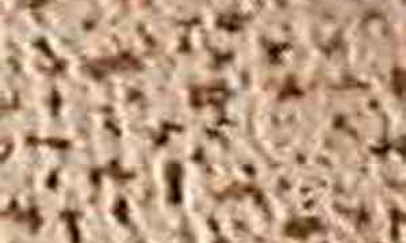 חג המצות מוציא העובדים לחופש