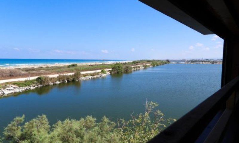 [צילום: דב גרינבלט, החברה להגנת הטבע.]