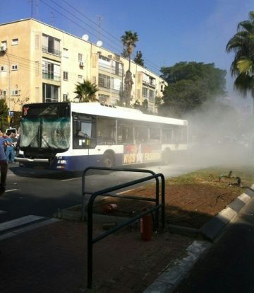[צילום: איציק גד/חדשות 24]