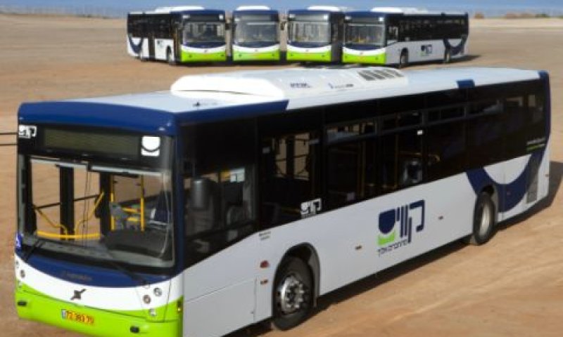 אוטובוסים שנוספו לצי החברה [צילום: יח"צ]