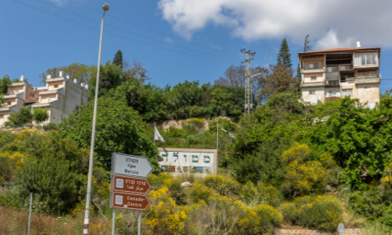 פגיעה במטע חקלאי [צילום: יוסי אלוני/פלאש 90]
