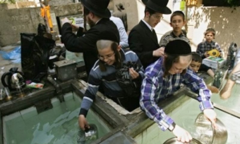[צילום: AP]