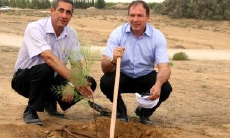 ראשי מקורות בנטיעה [צילום: ששון תירם]