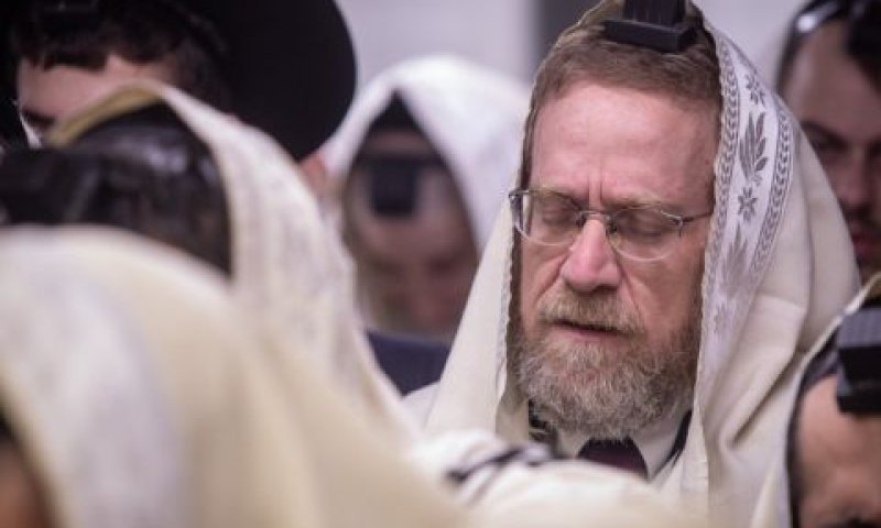 פינדרוס. כיסא מתנדנד [צילום: אהרון קרון/פלאש 90]