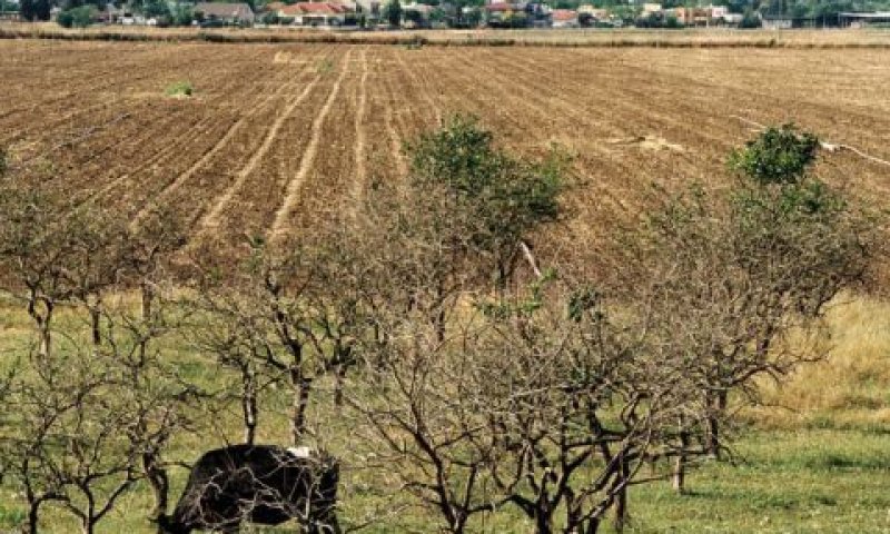 עמק חפר. קיבלו צו הריסה [צילום: פלאש 90]