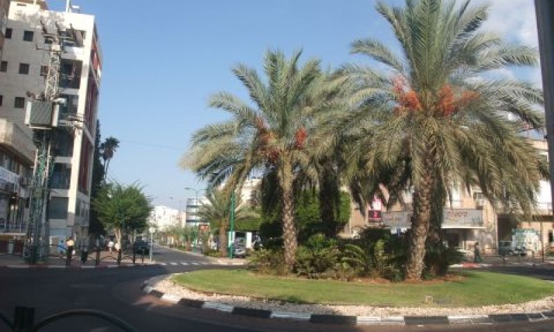 [צילום: איתמר לוין]