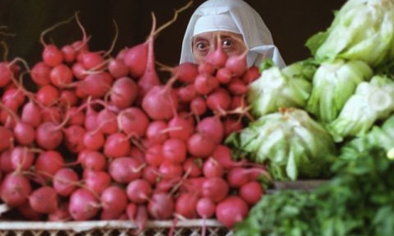 חשוב לגוון [צילום: פלאש 90]
