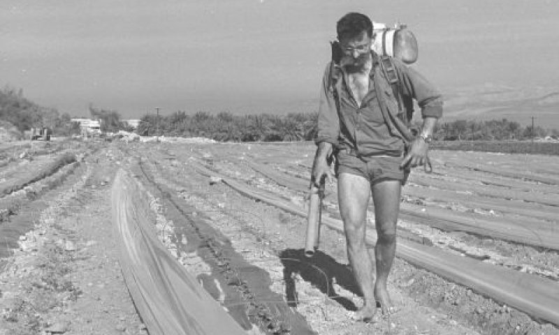 עין גדי 1967, הדברה בשדה [צילום: משה מילנר/לע"מ]