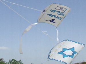 [צילום: שלי בר-סימנטוב]