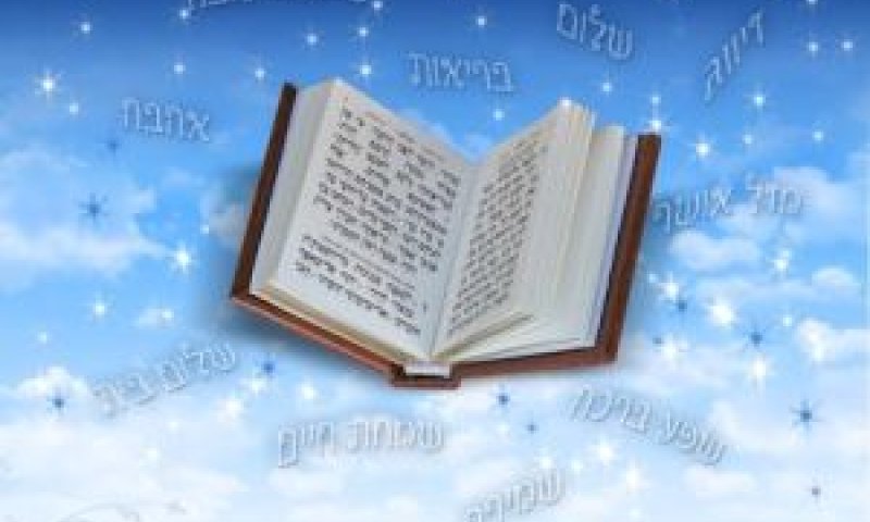 [צילום: יח"צ]