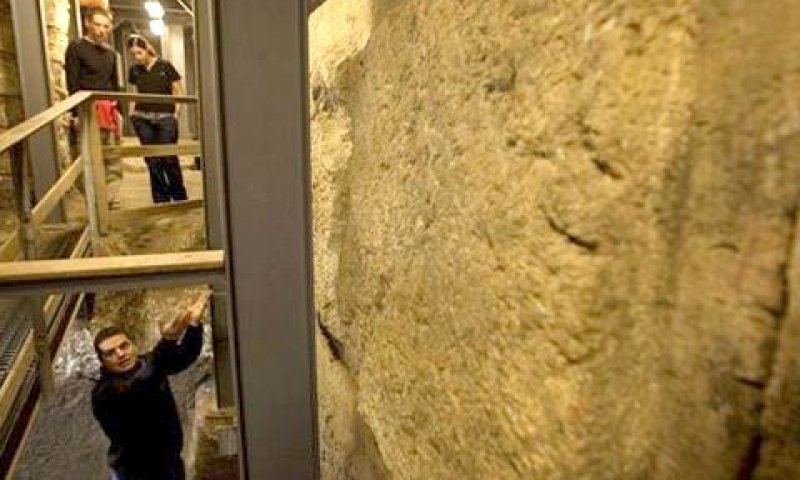 פרופ' רייך מציג את התגלית [צילום: AP]