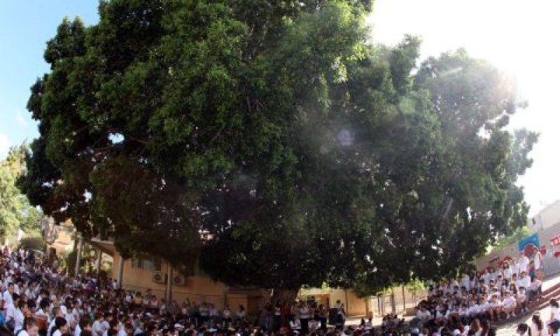 תלמידי בית ספר אהרונוביץ' בכפר מל"ל בטקס הנעילה של בית הספר וטקס הסיום של מחזור ע"ה, מתחת לעץ הפיקוס [צילום: סאן פרג&acute;]