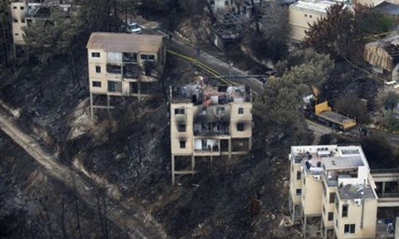 הרי הכרמל החרוכים [צילום: AP]