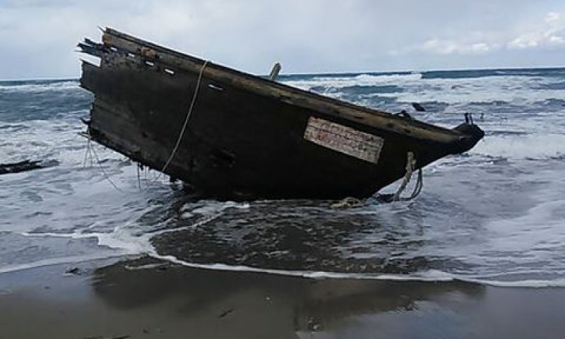השרידים באי סאדו [צילום: AP]