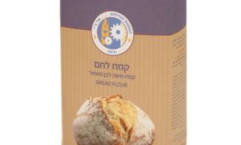 קמח לחם [צילום: מנחם גרייבסקי]